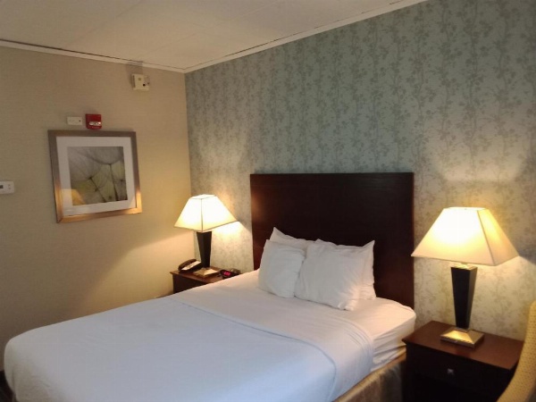 Best Western PLUS Lockport image 12